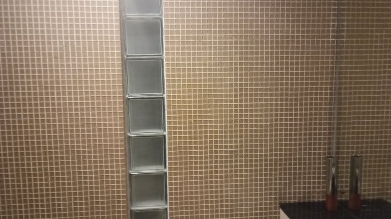 1000042695.jpg