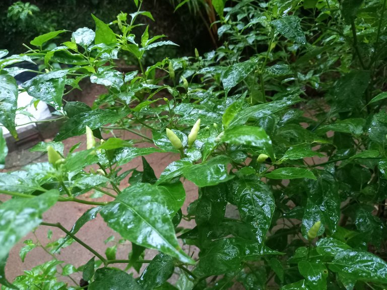 20231007_072559.jpg