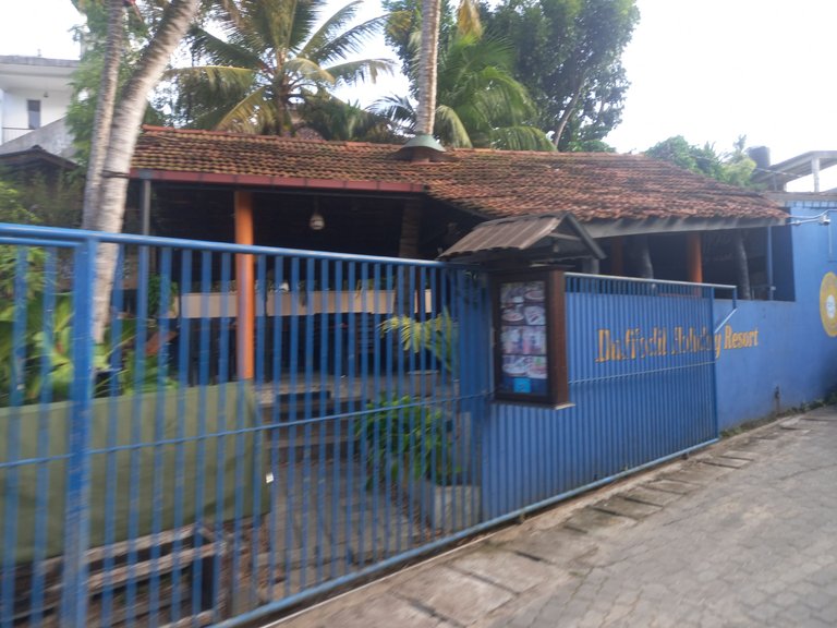 20230917_171428.jpg
