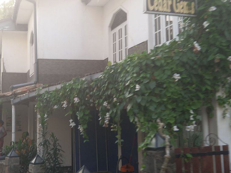 20230917_172505.jpg