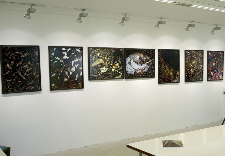 exhibition view.JPG