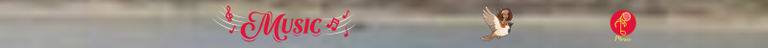 Receta de Palagar sudado (10).png