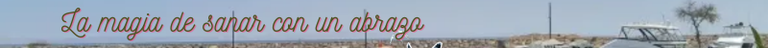 Receta de Palagar sudado (8).png
