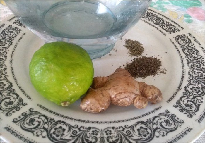 Ingredientes Infusion Neumonia .jpg