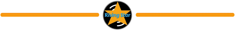 rising star banner.png