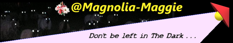 bannermagnolia.png