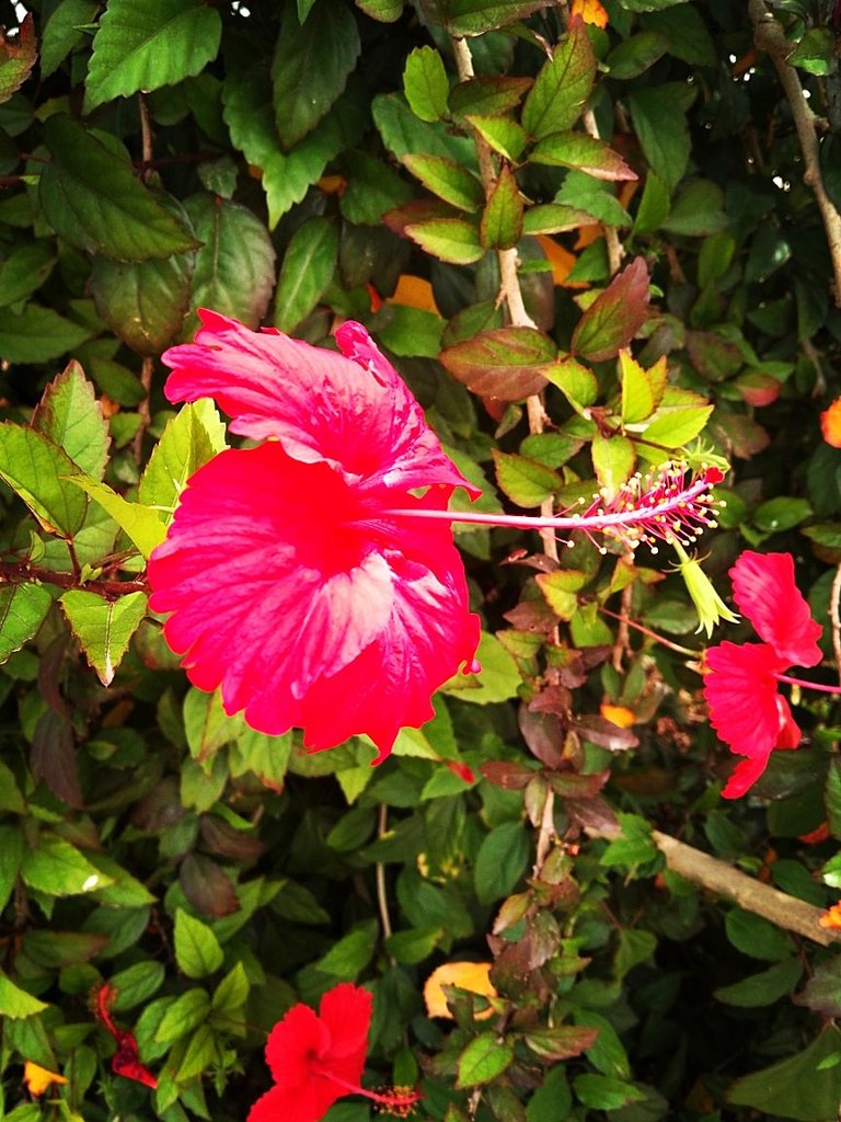 IMG_20250430_122855_747.jpg