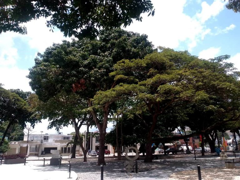 htu.jpg