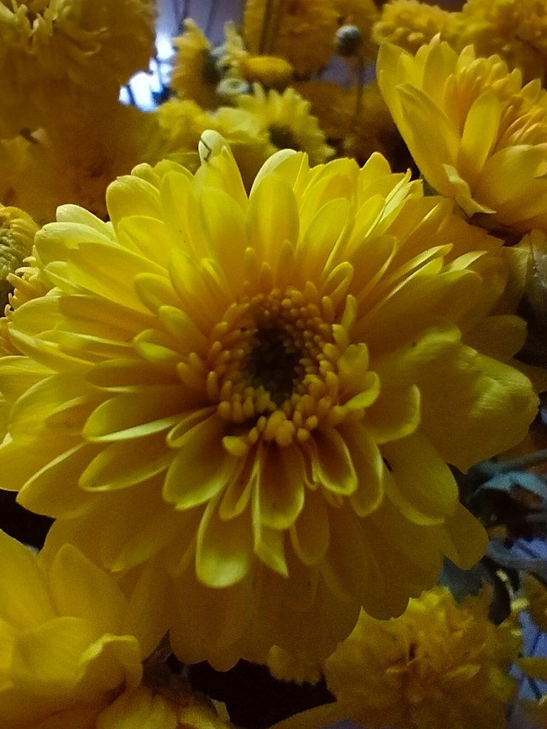 IMG20250307160945.jpg