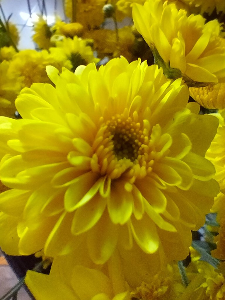 IMG20250307161041.jpg