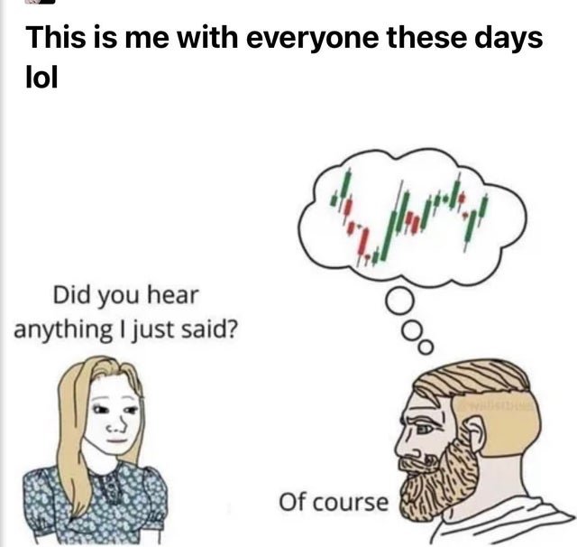 bullrun days.jpg