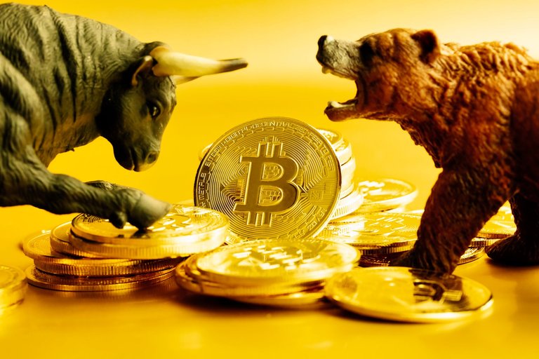 bitcoin-bull-and-bear.jpg