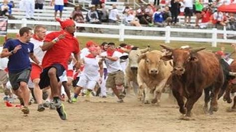 bullrun.jfif