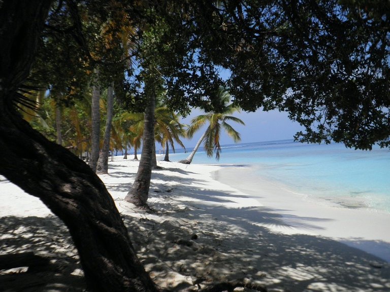 Morrocoy 3.JPG