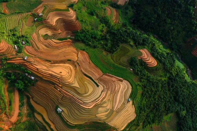 vietnam-9757895_1280.webp.png