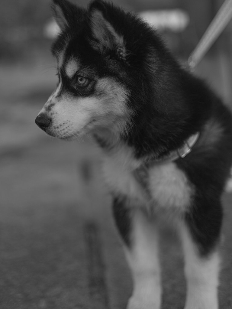 IMG_3962.jpg