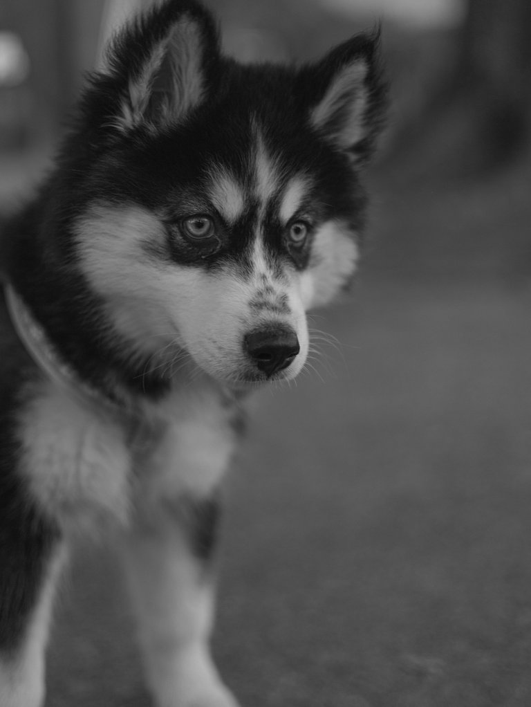 IMG_3965.jpg