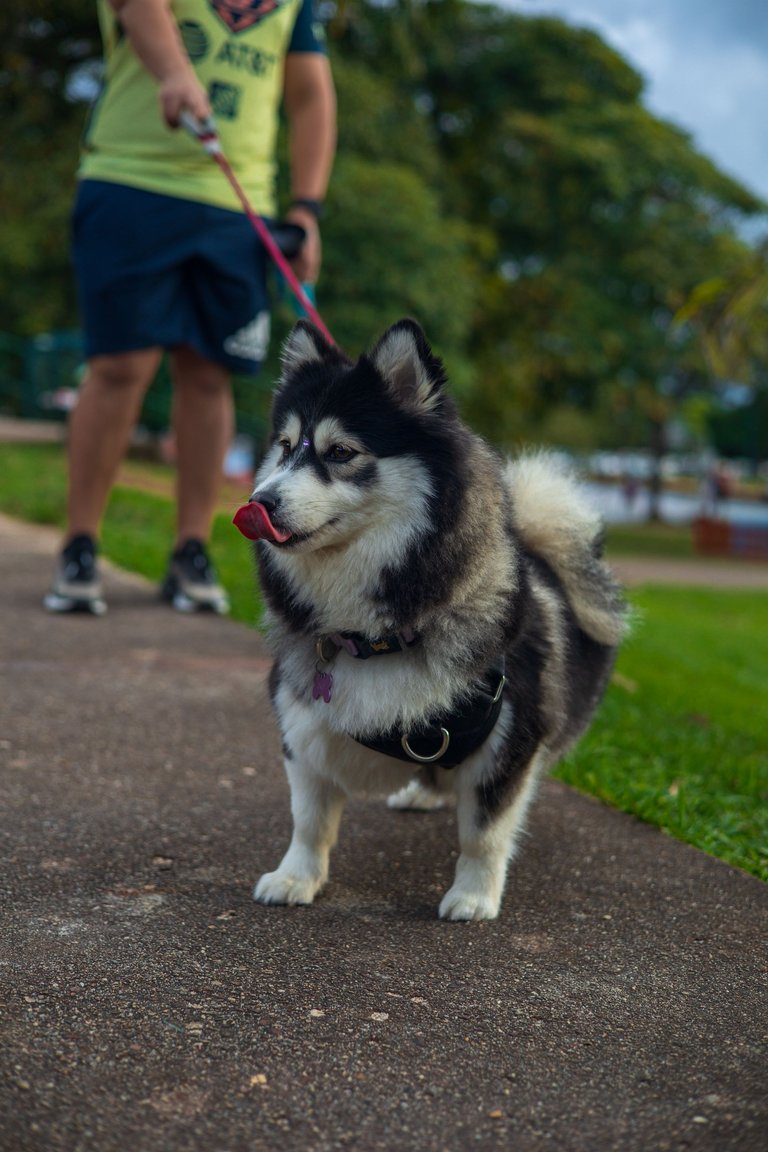 IMG_7882.jpg