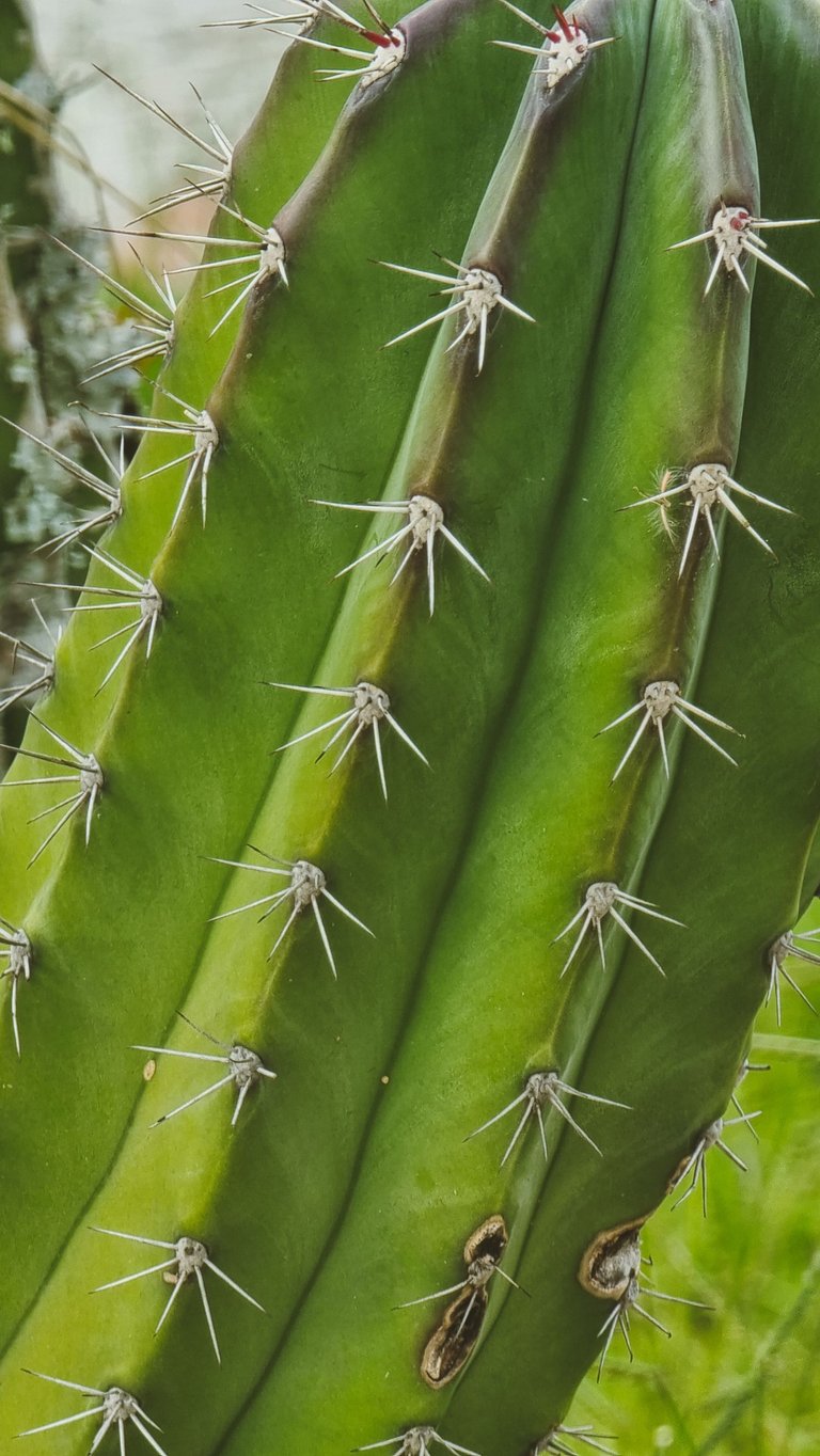 20241002_173304.jpg