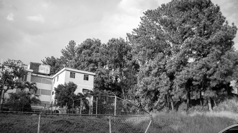 IMG_3439.jpg