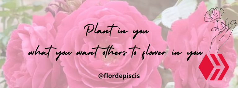 Blue Pink Floral Minimalist Happy Women`s Day Your Story_20250701_111245_0000.png