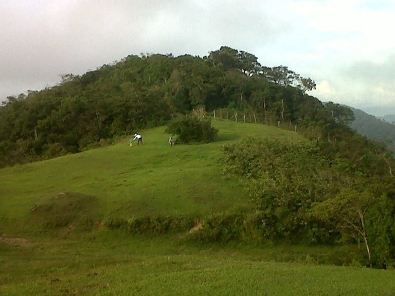 IMG-20250622-WA0027.jpg