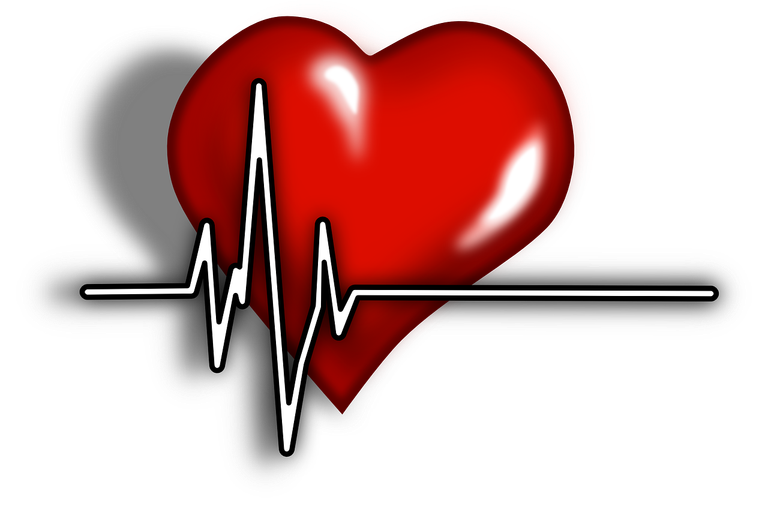 cardiac-156059_1280.png