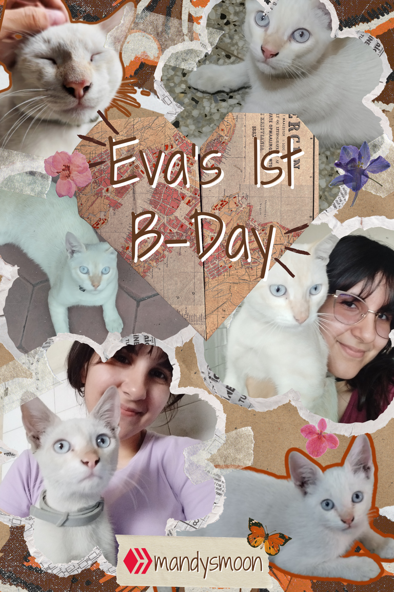 Eva 1 year.png