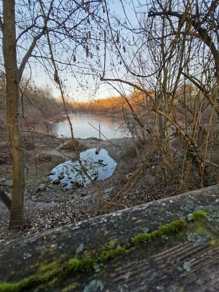 lobau bei nadine.jpg