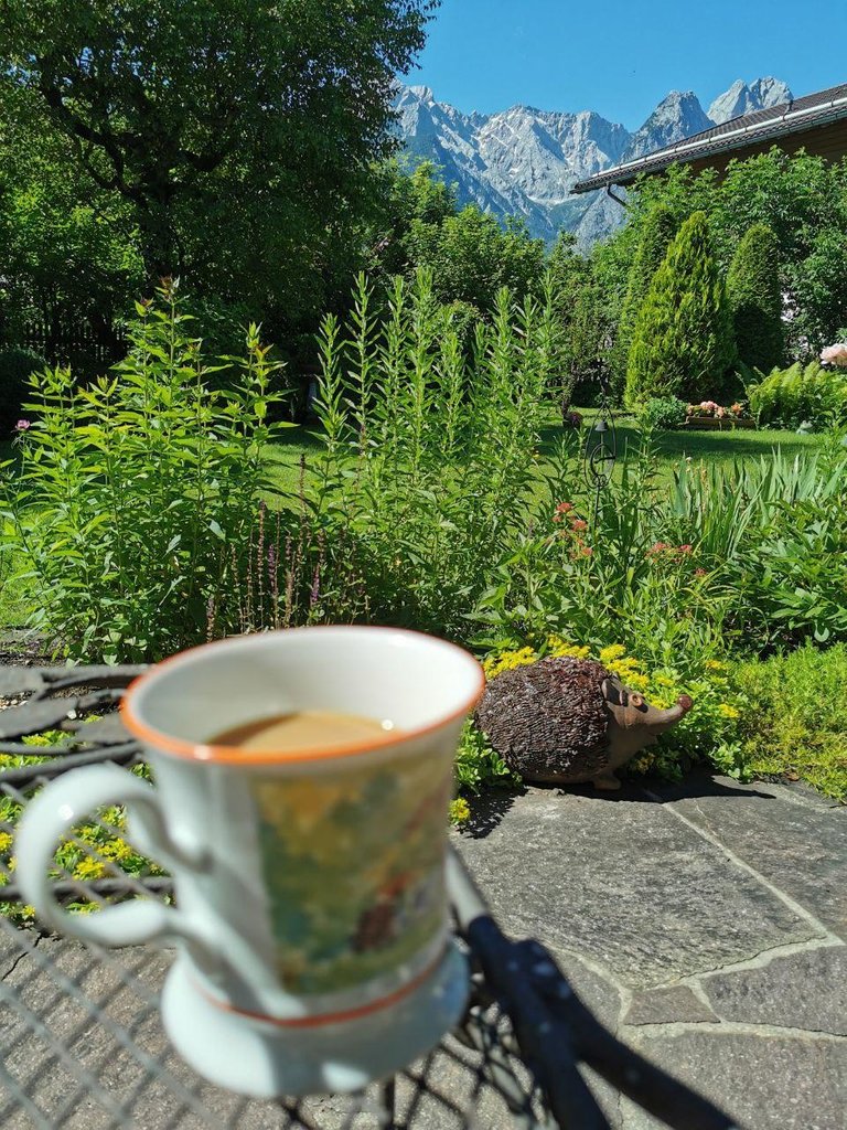 Kaffee am Morgen mit Aussich auf die Berge.jpg
