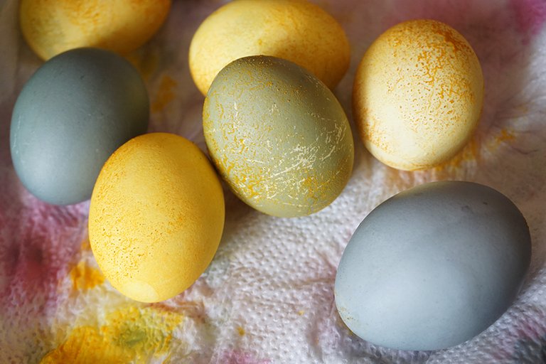 Natural_Egg_Paints_06_s.jpg