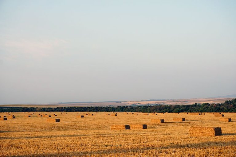 Haystack Cubism s.jpg