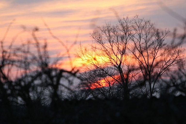 Rural_Sunset_004.jpg