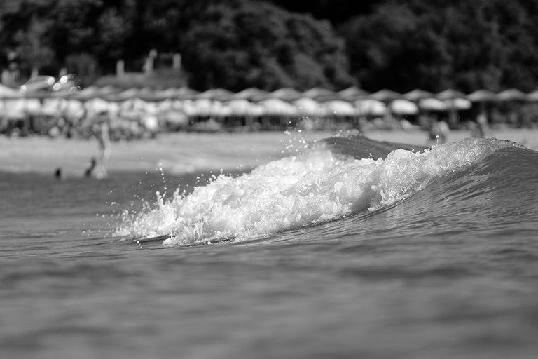 The Wave Sum24 002 BW s.jpg