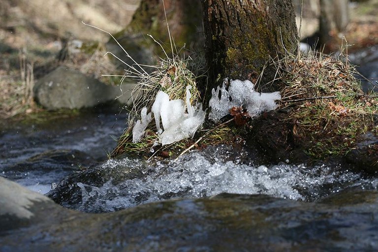 Saturday_Vitosha_Walk_1.jpg