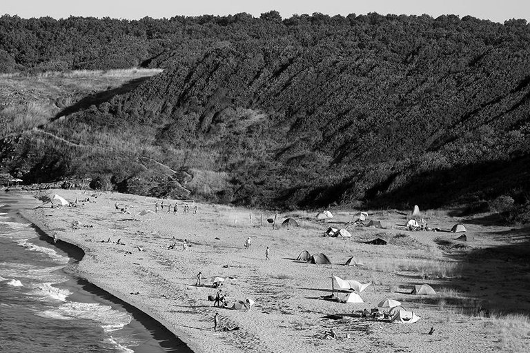 Birdbview Beach 24 003 BW s.jpg