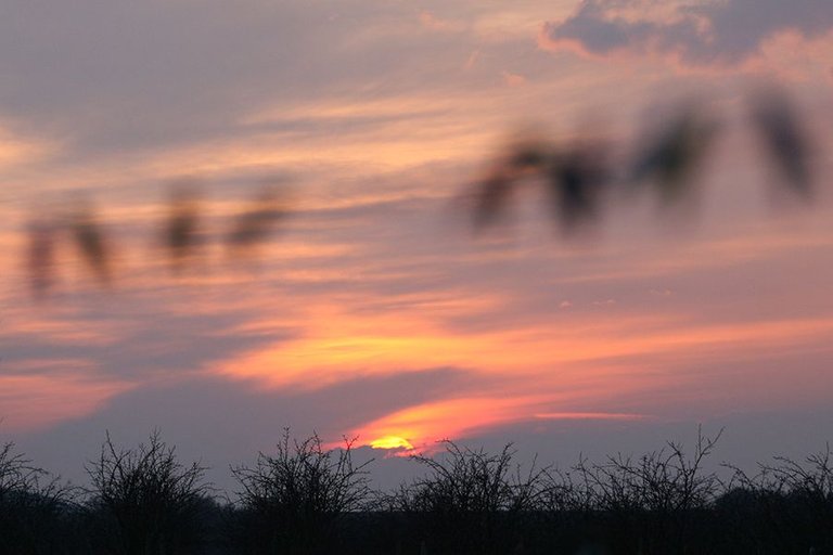 Rural_Sunset_005.jpg