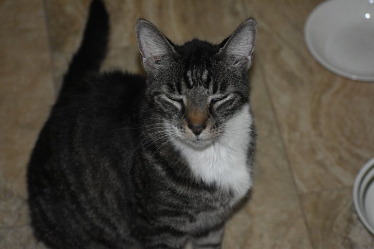 DSC_0184.JPG