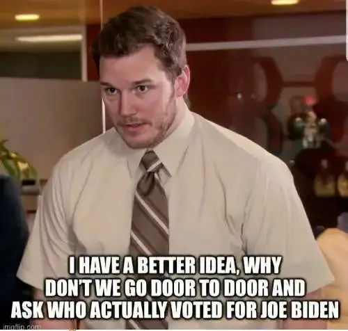 better-idea-go-door-to-door-asking-who-actually-voted-joe-biden.webp