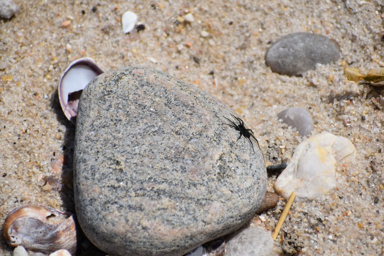 DSC_0126.JPG