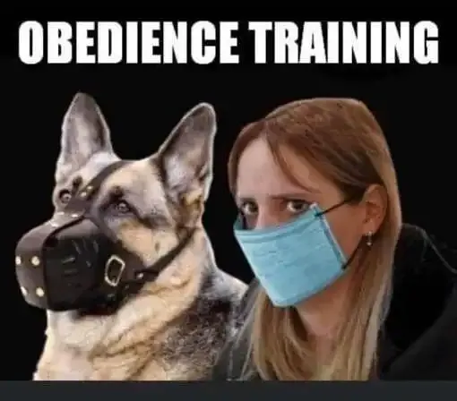 dog-human-obedience-training-facemask.webp