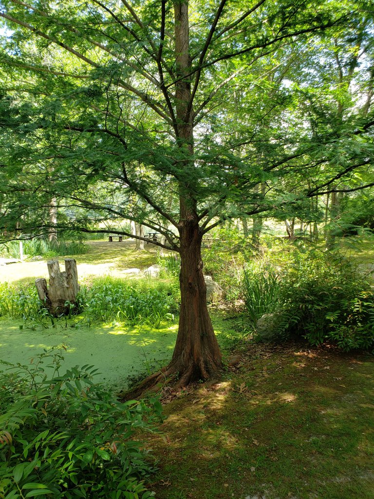 20230629_150453.jpg