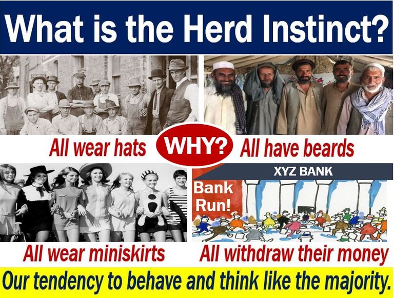 Herd-Instinct-definition-303596121.jpg