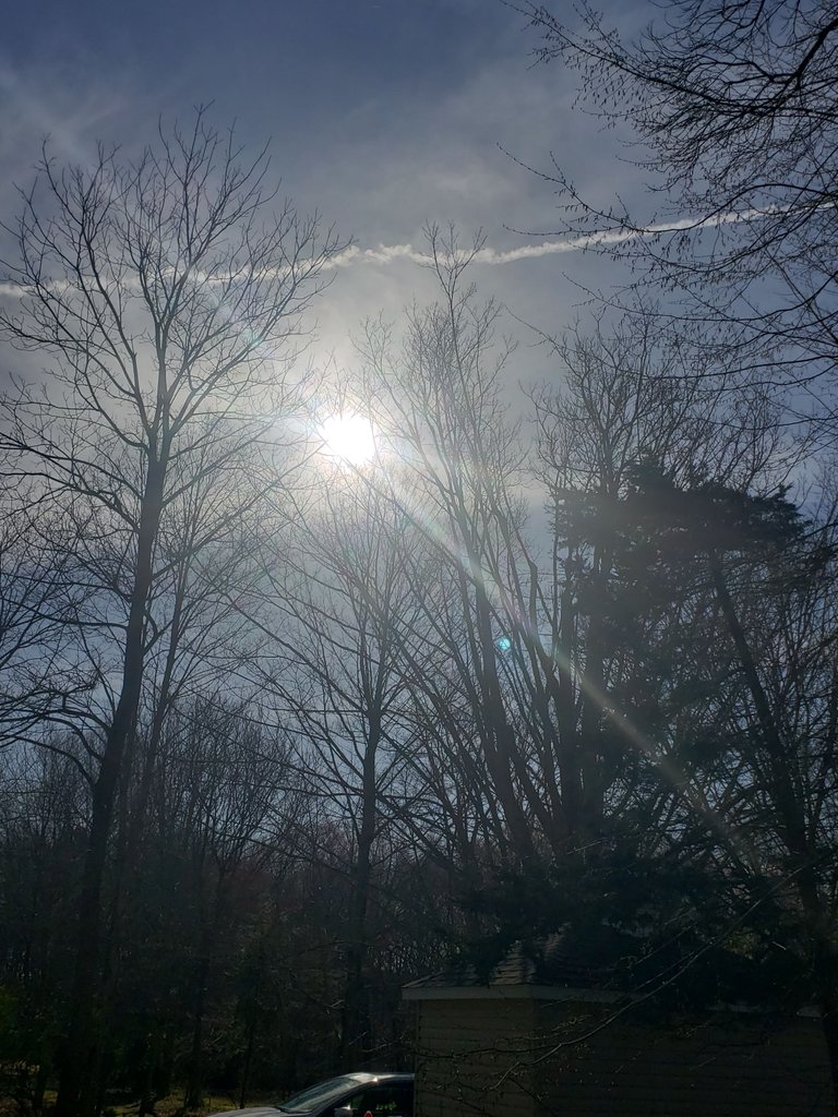 20230411_090312.jpg