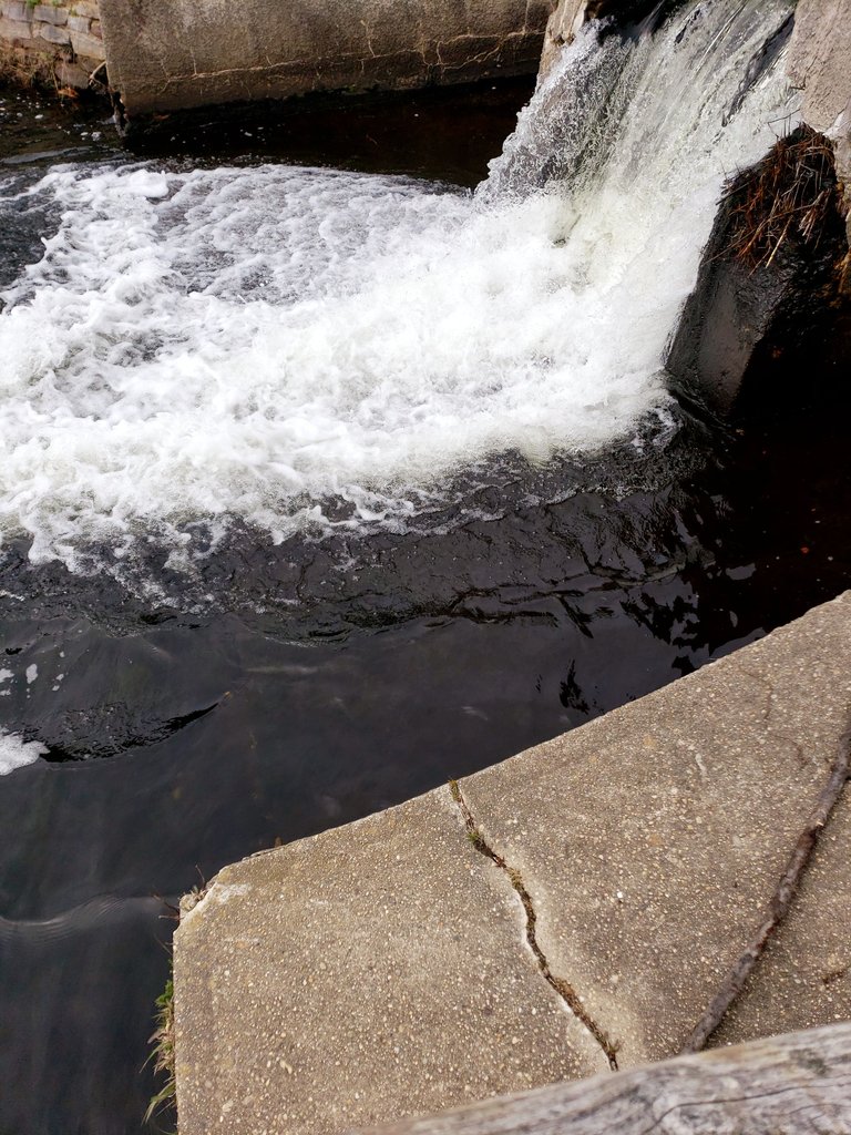 20230324_130126_01.jpg