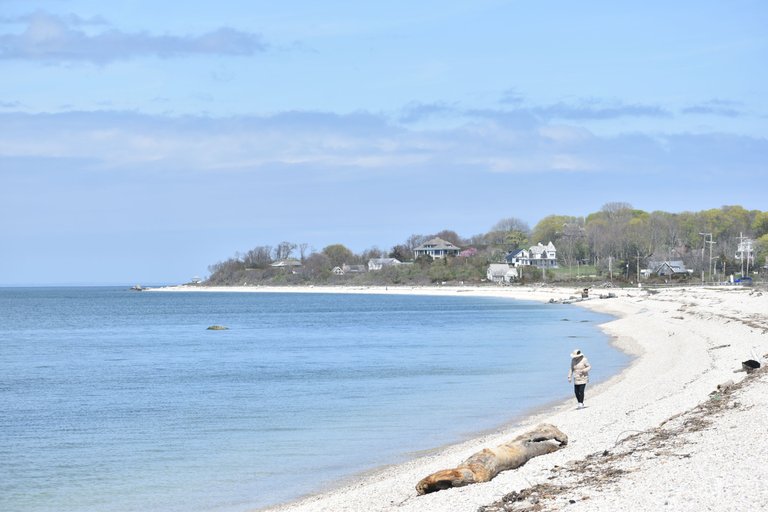 DSC_0406.JPG