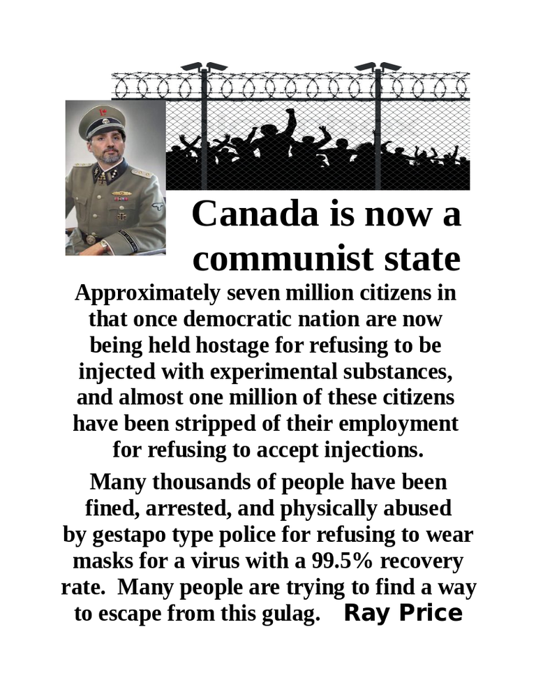 e14d436fb0531527.png