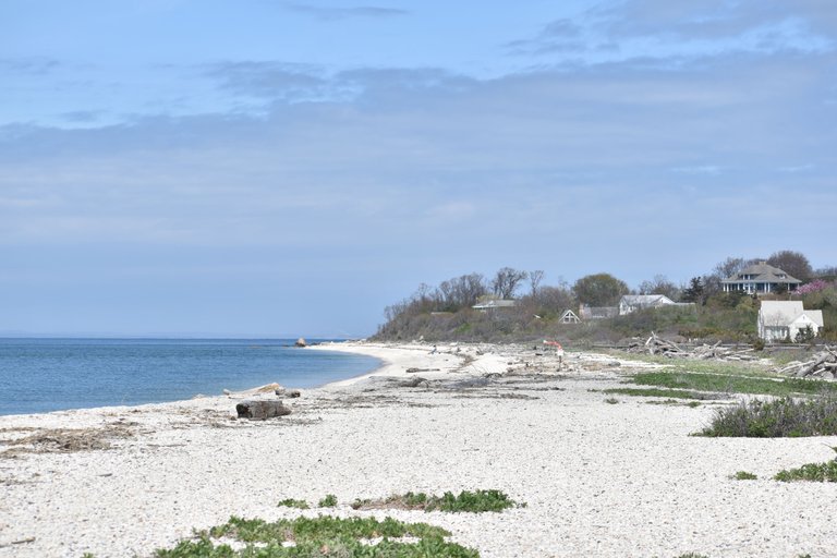 DSC_0392.JPG