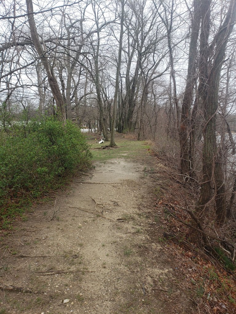 20250406_115828 - Copy.jpg