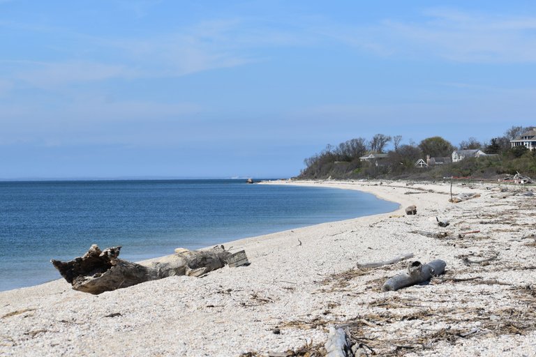 DSC_0477.JPG